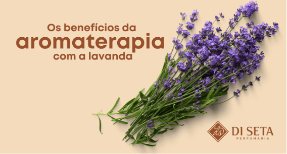 Os benefícios da aromaterapia com a lavanda