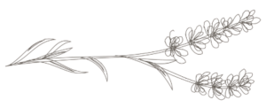 flor